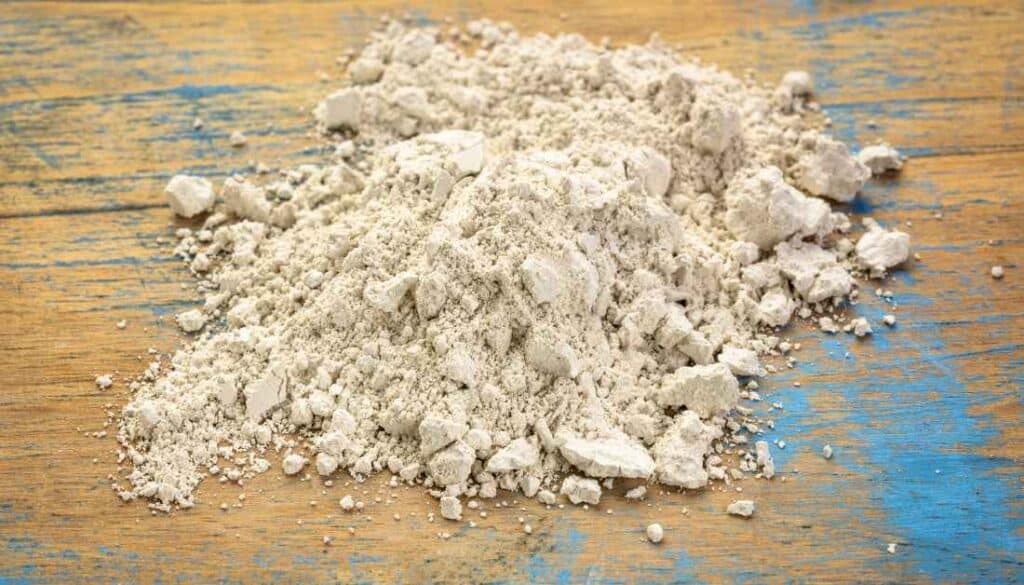 Diatomaceous earth for bed bug treatment