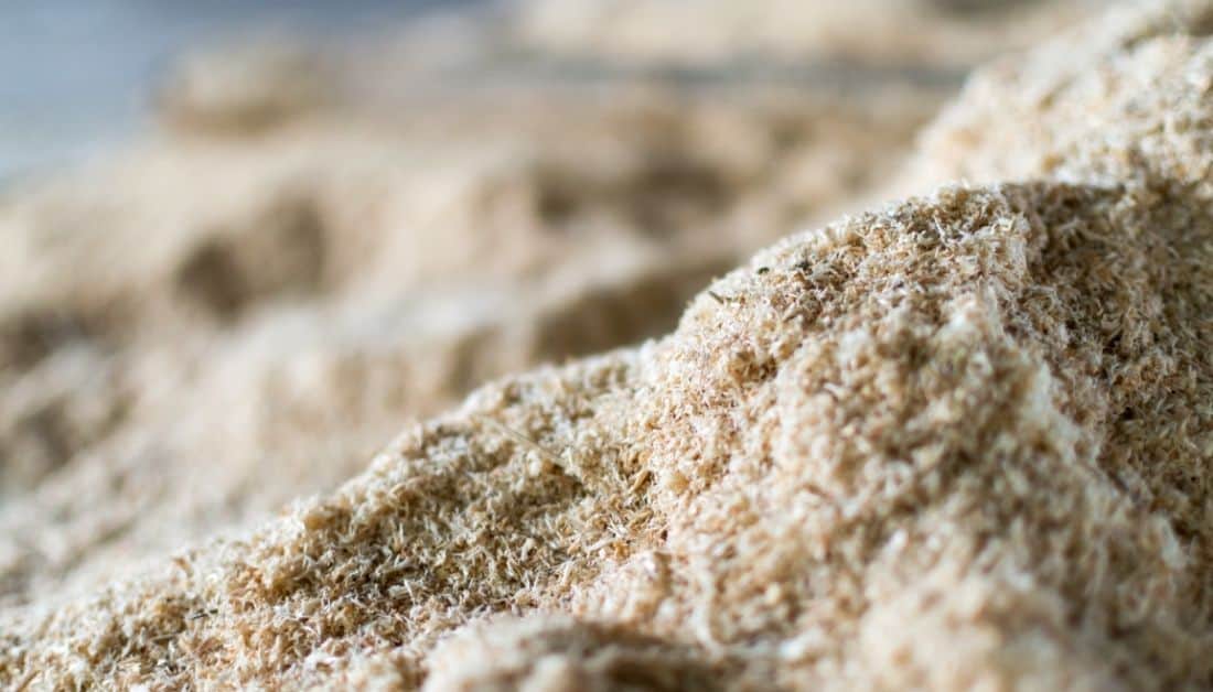 Powderpost Beetles Vs. Termites A Layman's Ultimate Guide