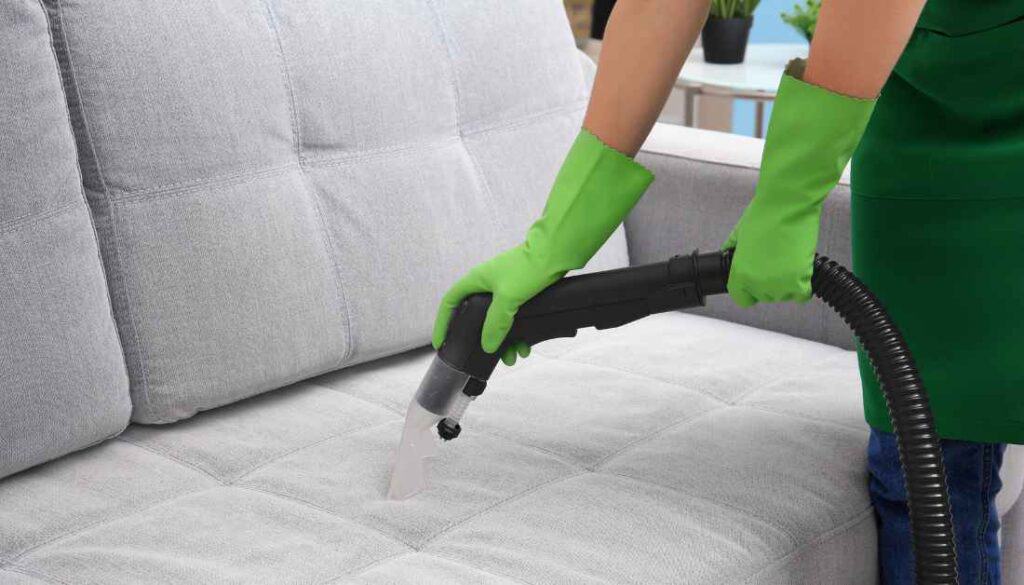 Vacuum clean to prevent bed bugs
