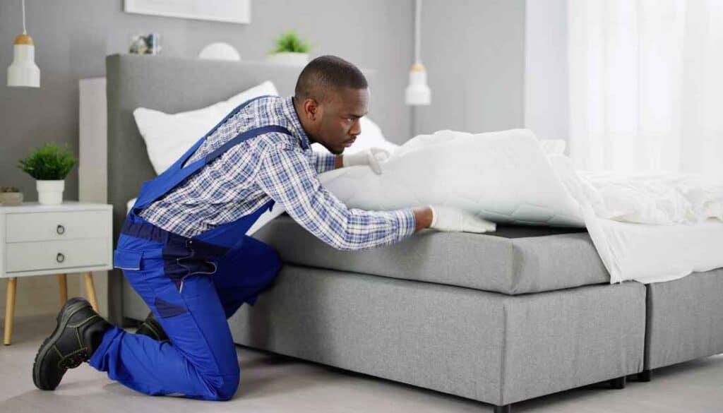 Where to check for bed bugs
