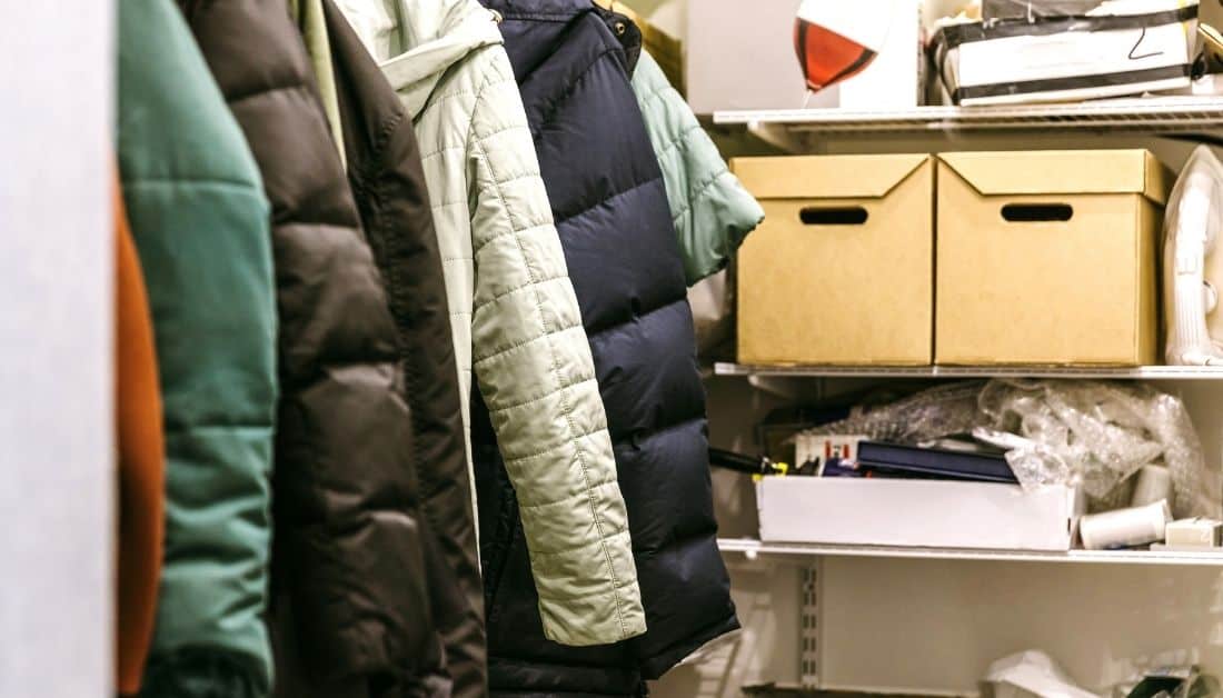 11 Easy Steps To Keep Bugs Out Of Closet, Forever