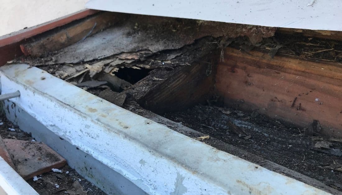 How Long Should You Stay Out Of House After Fumigation?