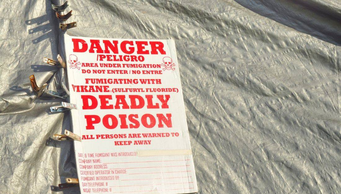 How Long Should You Stay Out Of House After Fumigation?