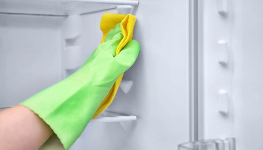 The Secret Of Tiny Dead Bugs In Fridge [Revealed]