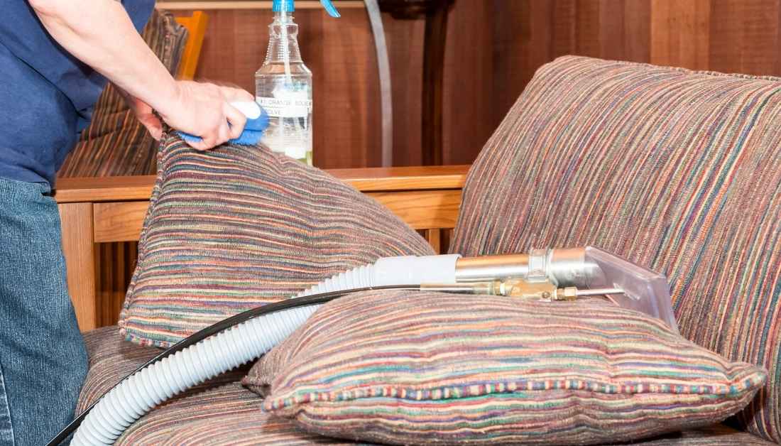 7 Tiny Bugs On Couch That Are Not Bed Bugs