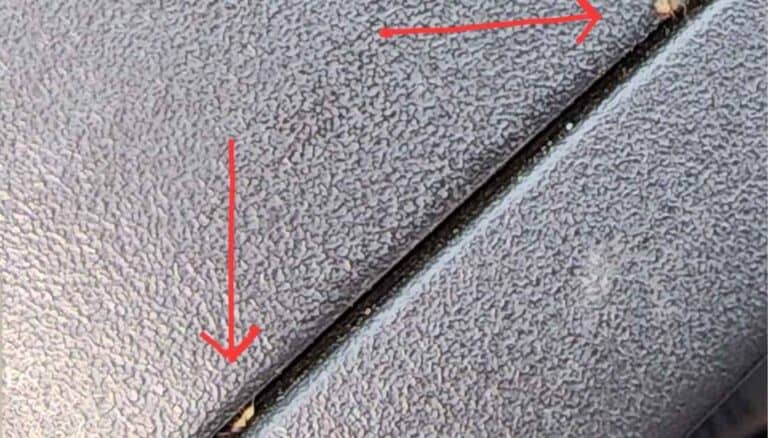 Get Rid Of Rampaging Ants In The Car Before They Bite!