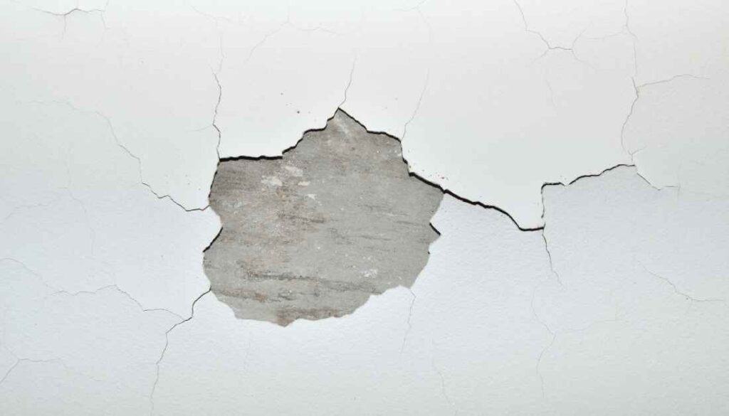 Repair ceiling to prevent sillverfish